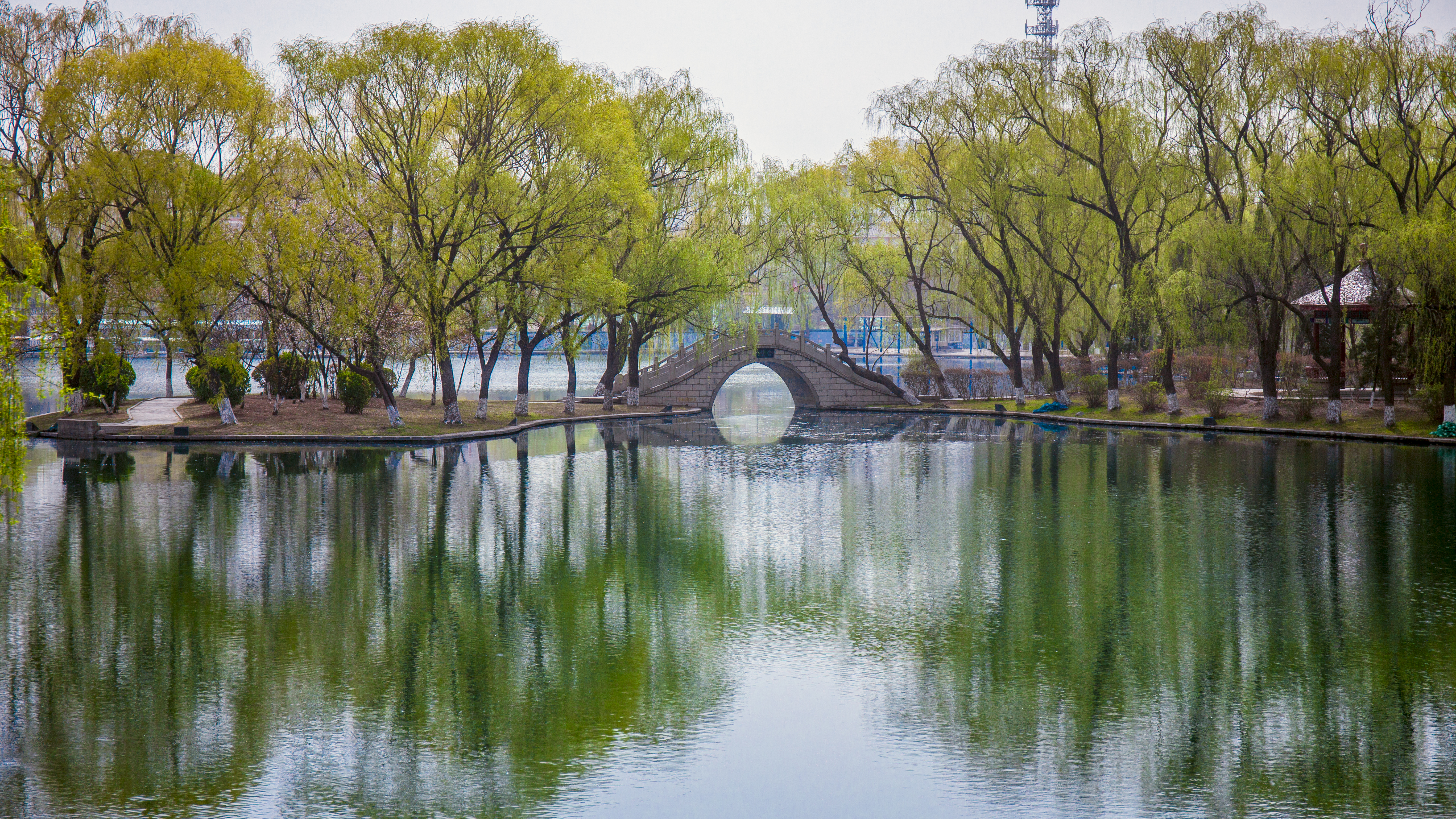 济南趵突泉酒和百脉泉酒哪个好,百脉泉和趵突泉哪个好