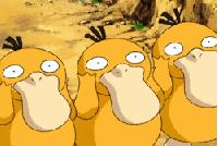 这100种动物你都认识吗,10种从未见过的动物