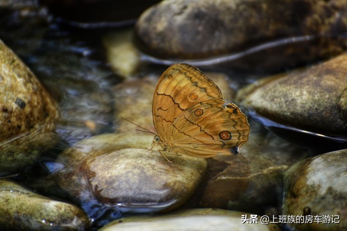 打卡溧阳天目湖御水温泉,天目湖常州溧阳御水温泉