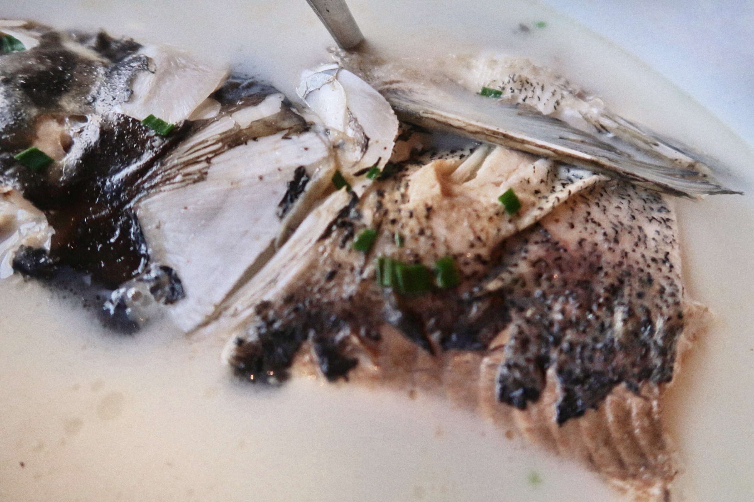 天目山温泉推荐,天目湖有哪些泡温泉的地方