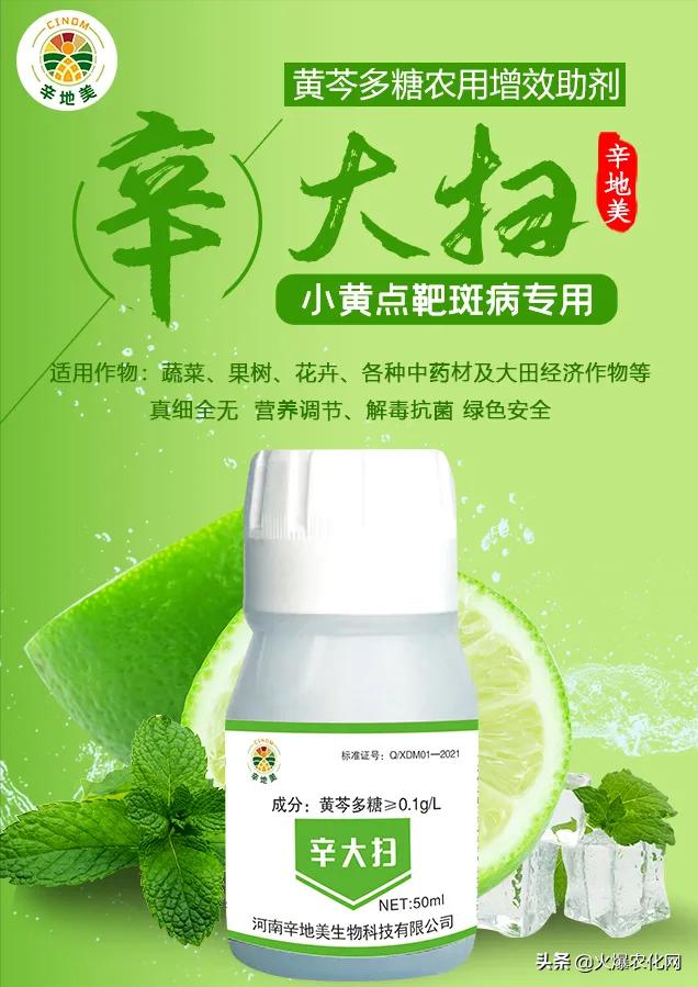 褐斑病怎么治好得快,褐斑病病斑