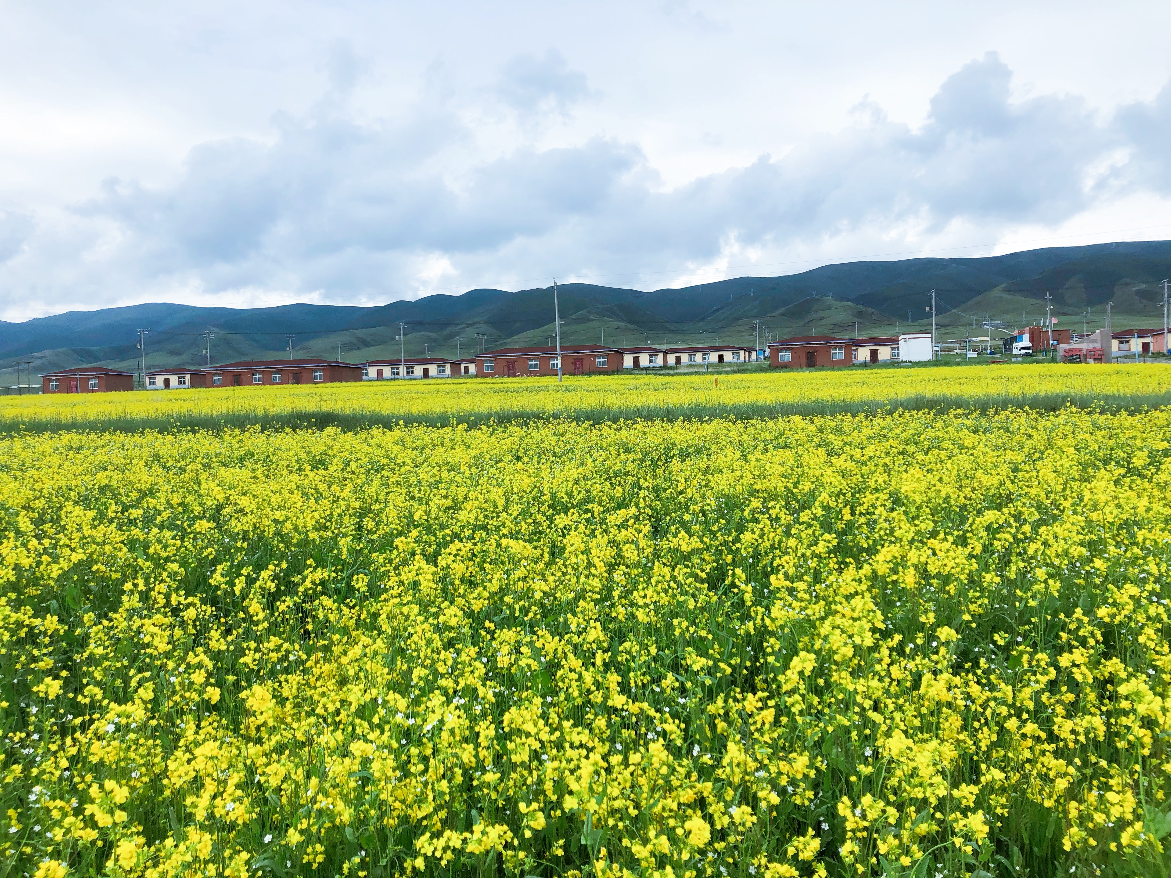 成都到茶卡自驾七天,成都到青海湖茶卡盐湖路线怎么走