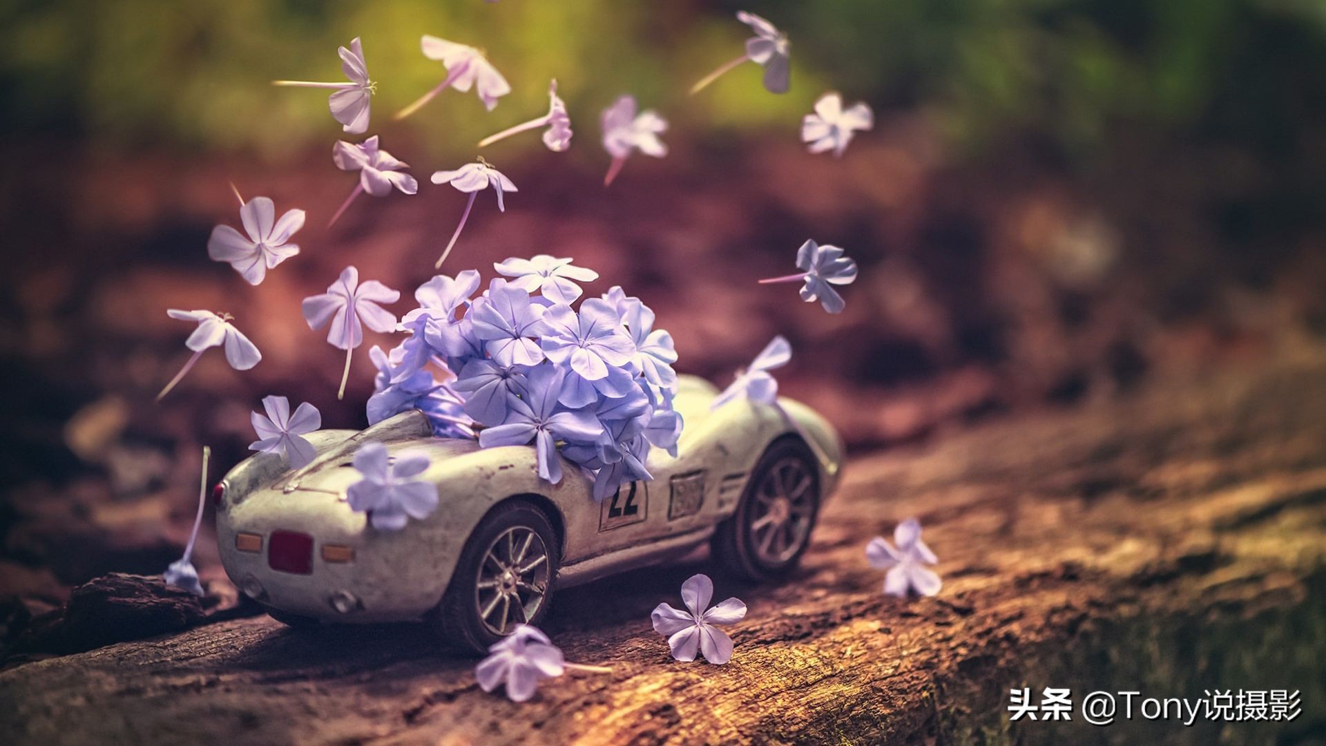 摄影技巧大光圈,摄影技巧虚化叠加