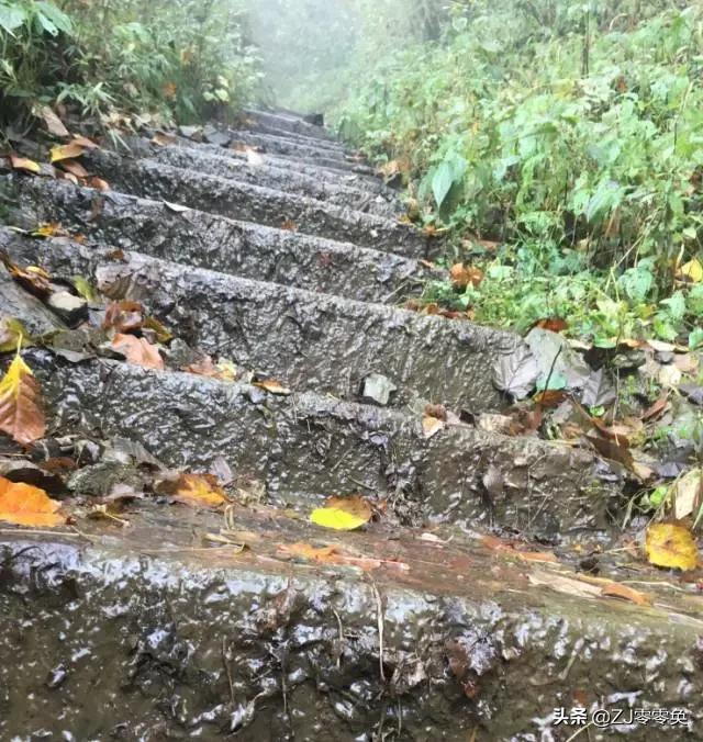 成都周边爬山的好地方人少免费,大年初一成都周边登山游一日游