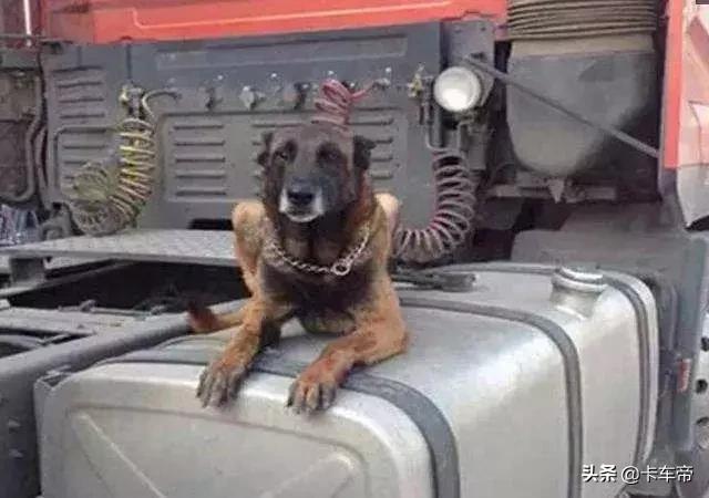 开货车如何了解货运信息,开货车的十大好处