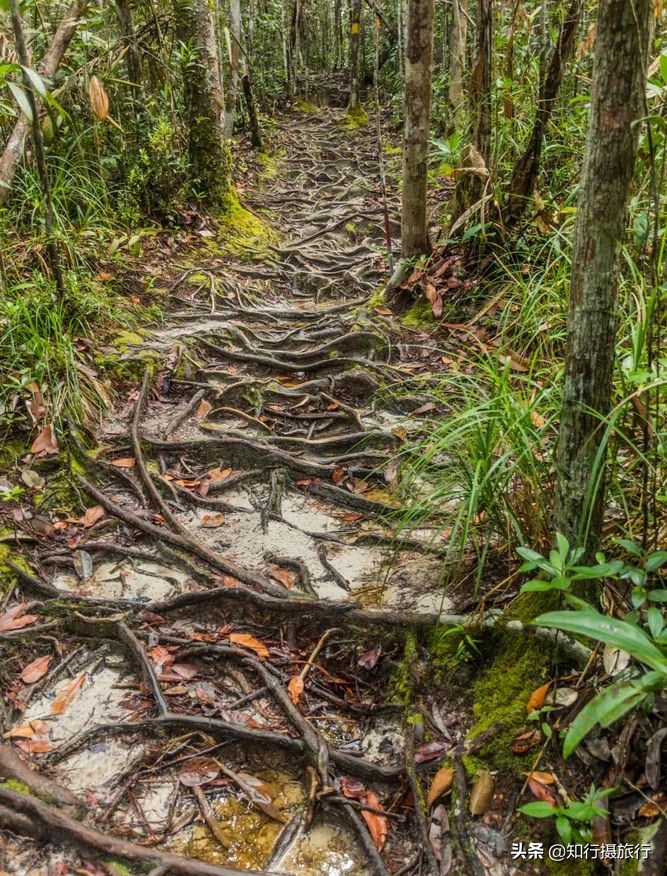 海南环岛自驾旅游攻略最新,海南东部环岛自驾游攻略详细行程