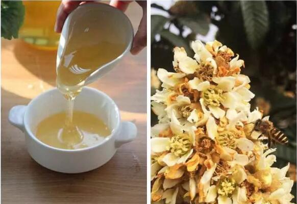 白玉枇杷蜜与土枇杷蜜哪个好,枇杷果为什么这么贵