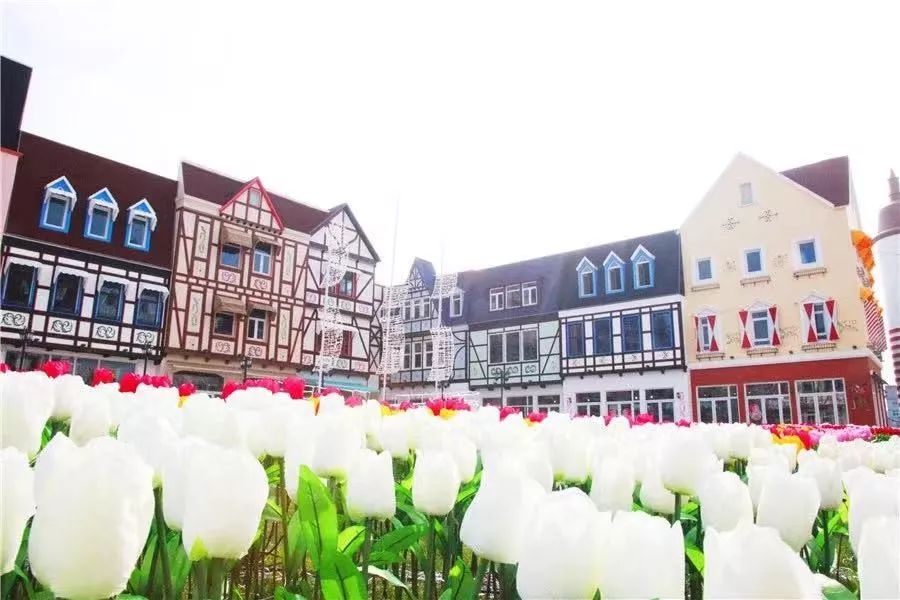 哪里可以买到进口产品,去哪里可以买到进口正品