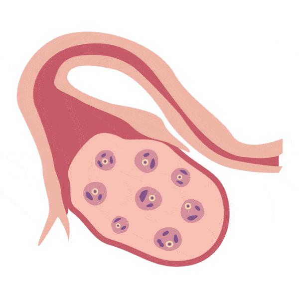 赌命交易是骗人的吗,一定要警惕骗人的套路