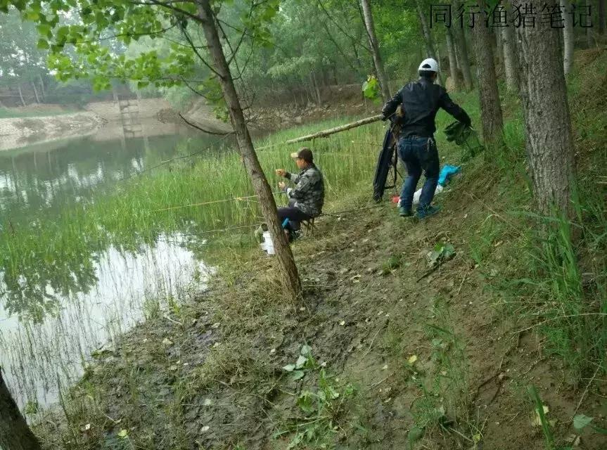 钓鱼记录2019,最新的钓鱼日记