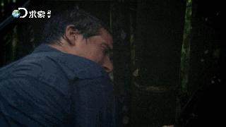 野外求生净化水的方法,野外生存取水的正确方法