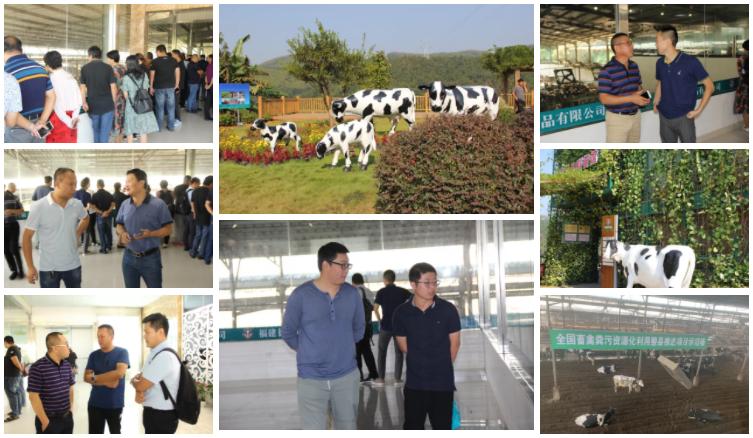 鍙傝闀垮瘜鐗涘ザ鍗楀钩鐗у満,绂忓缓鍗楀钩闀垮瘜鐗у満