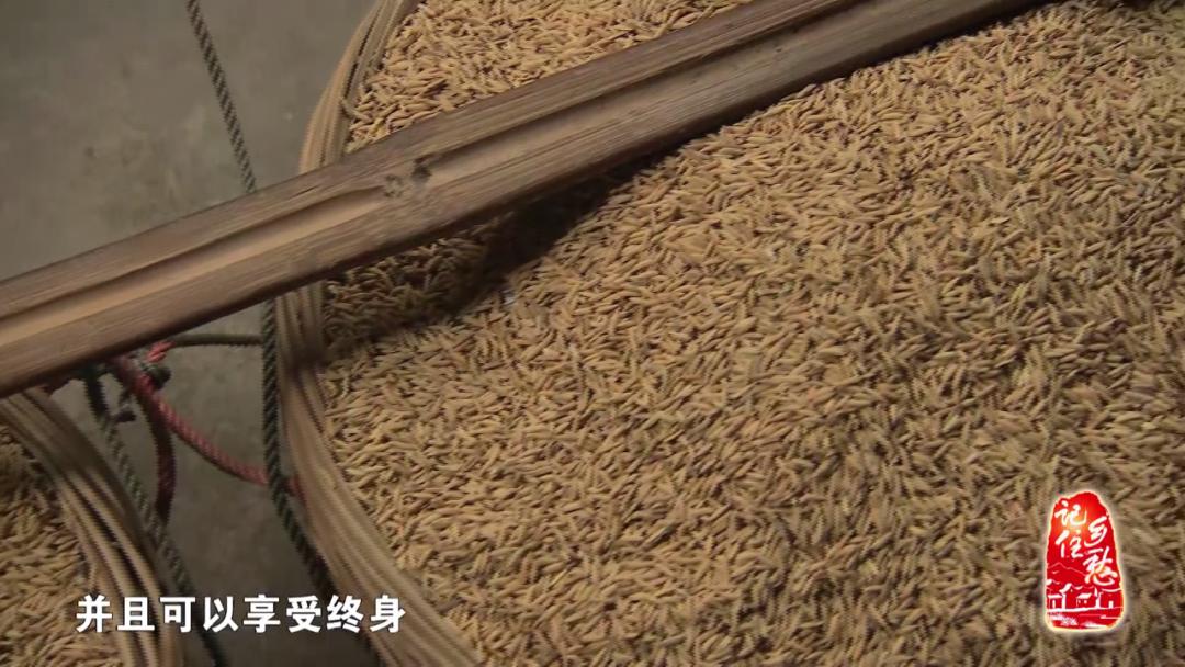 奖学“谷”，你听说过吗？