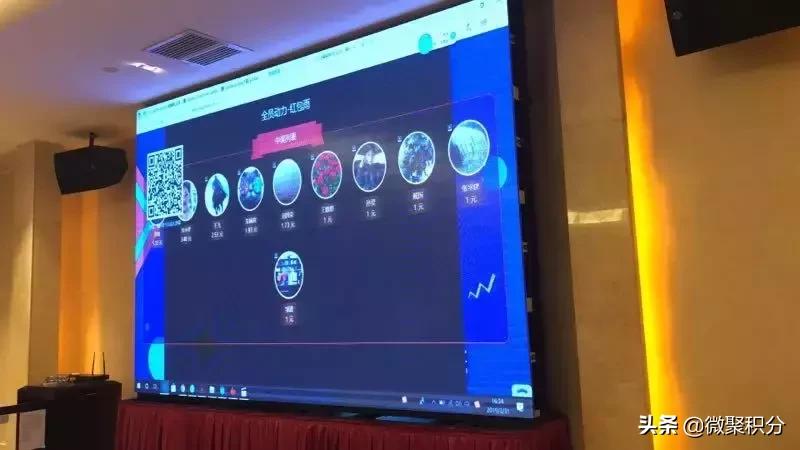 积分制管理落地方案,积分制管理落地实操作