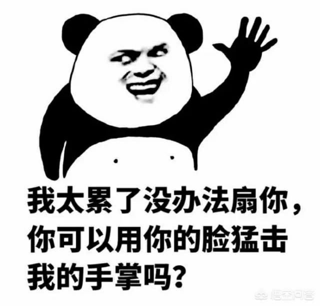 假如别人扇了你一巴掌可以报警吗,别人扇了我一巴掌我报警有用吗