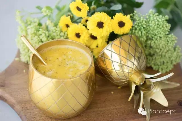 vitamix食物搅拌器说明,vitamix料理机用法视频