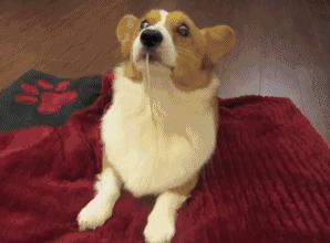 接吻一次可以吃掉多少细菌,接吻会有8000万的细菌