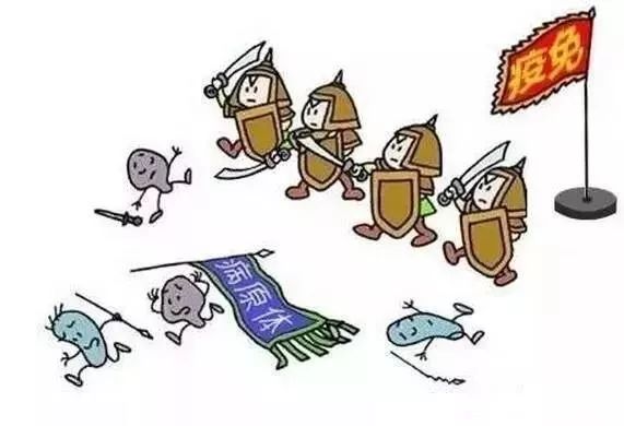 反复胎停育后再次备孕要怎么调理,反复胎停育