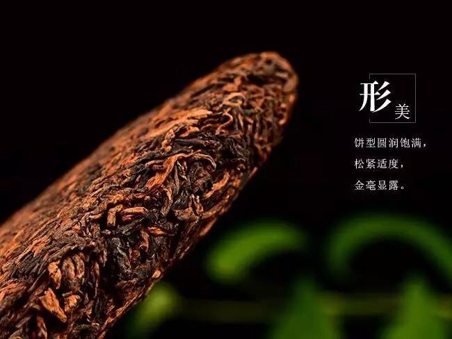 老白茶和老黑茶的味道和口感,老白茶黑茶哪种更适合养生