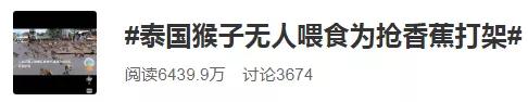 帅哥裸露卖榴莲、猩猩骑车消毒，疫情下的泰国又搞笑又心酸