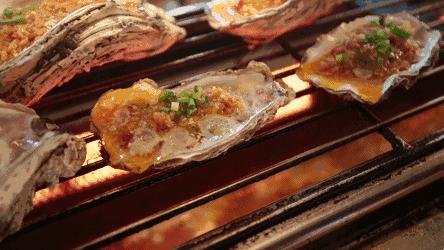 鍗楁槍娴烽矞鐑х儰鐢熻殱,鍗楁槍鐑х儰鐢熻殱鎺ㄨ崘