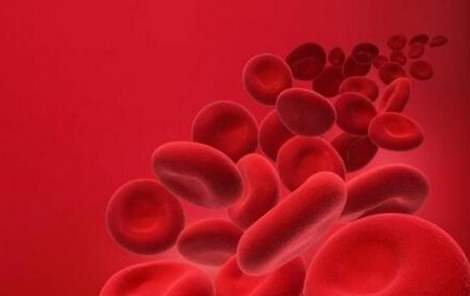 得了什么血液病可以用药维持,得了白血病怎么安慰