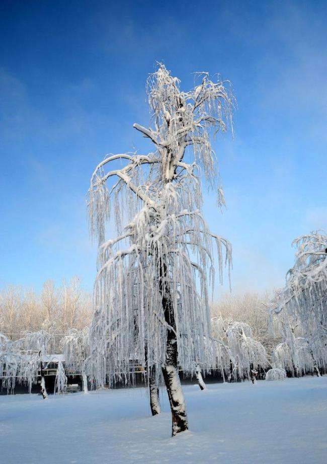 寒风彻骨刘亮程,刘亮程《寒风吹彻》在线阅读