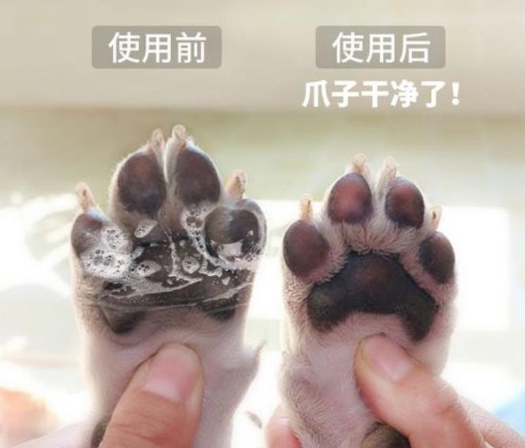 狗狗这些部位“最脏了”，只要清洁到位，身上就会香香的