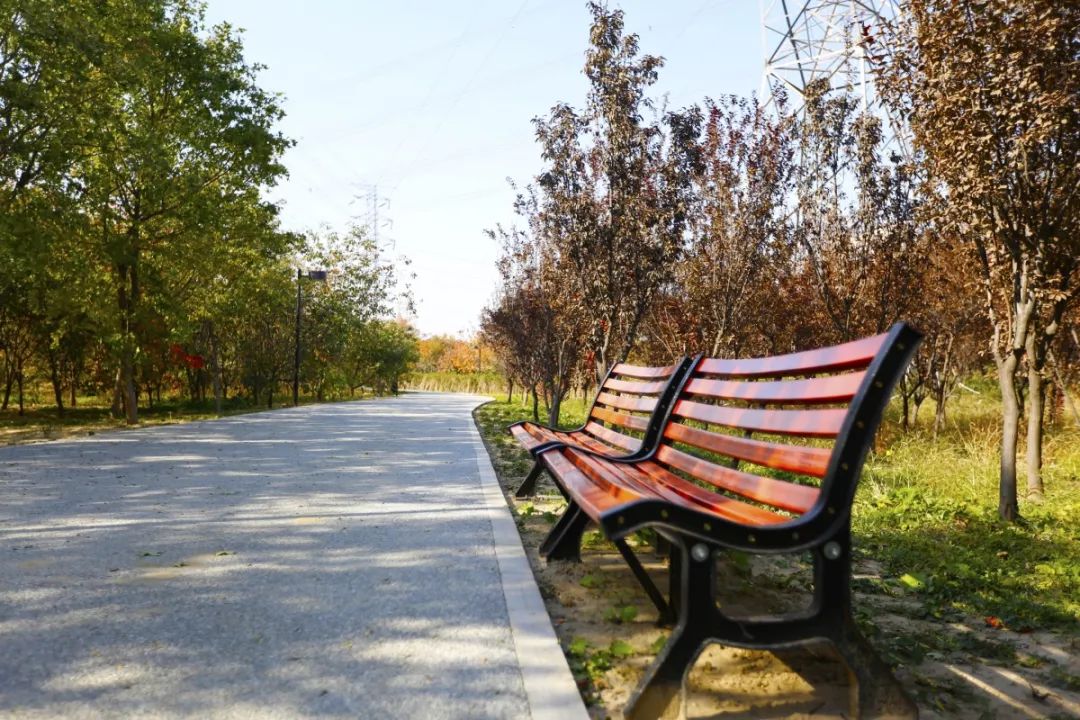 海淀新公园,西三旗公园