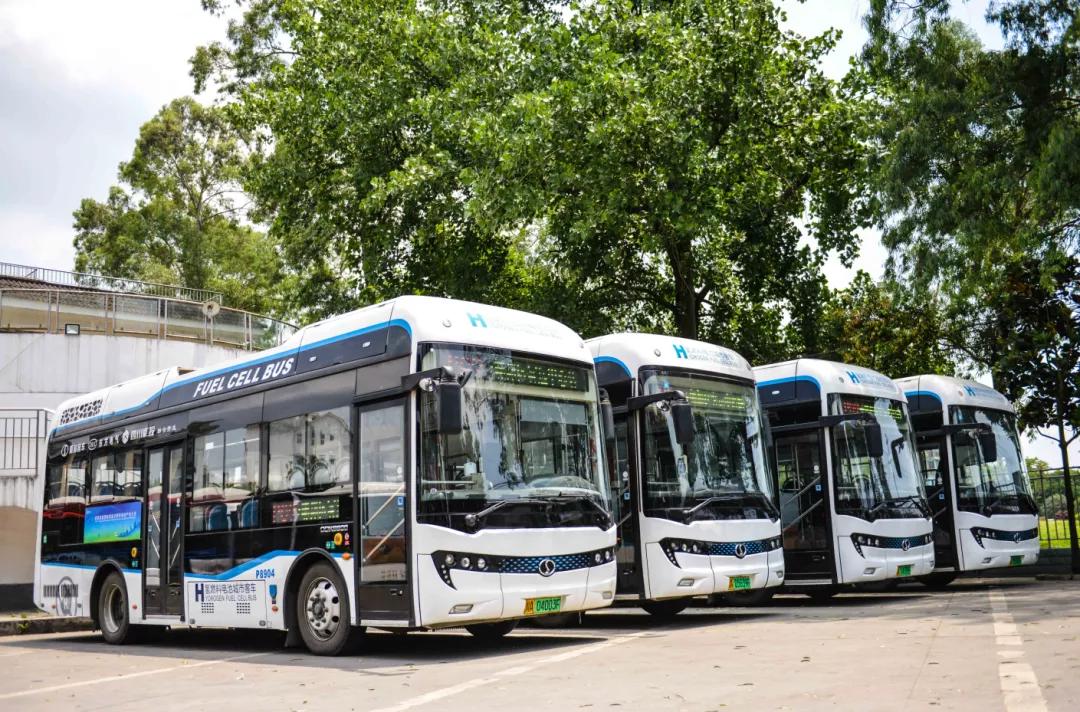 郫都区最好前三个镇排名榜,郫都区排行榜前十名