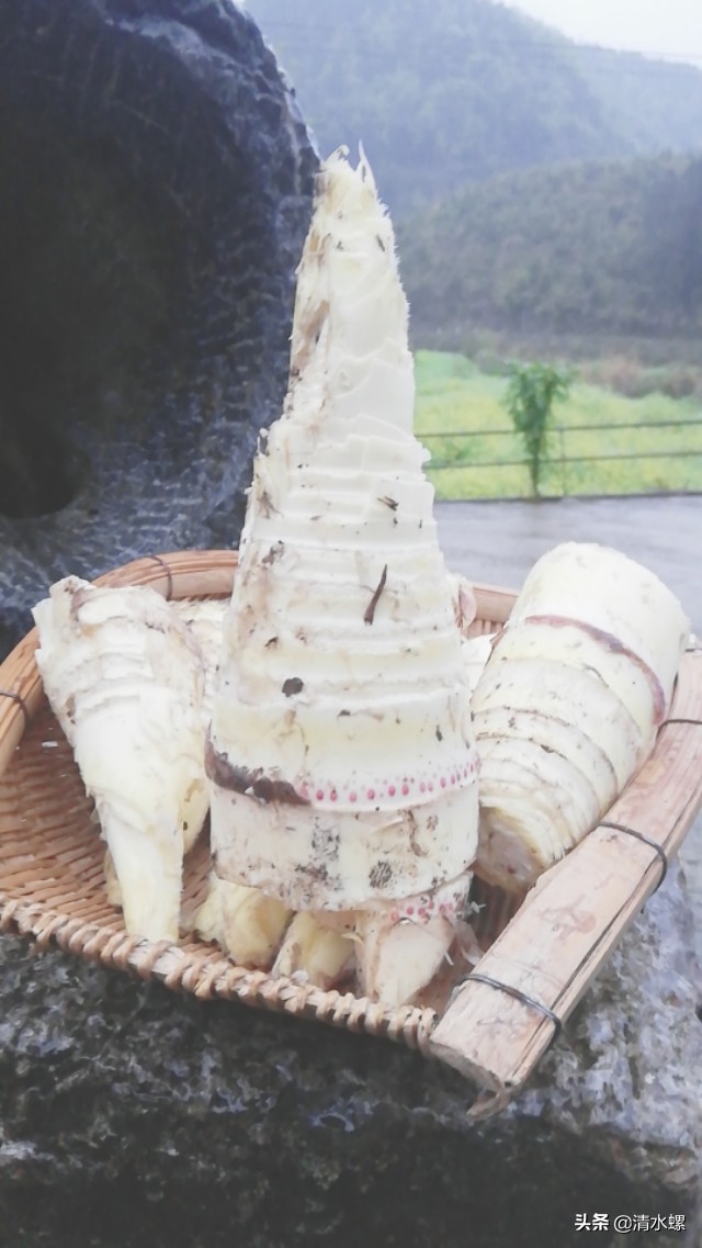 春日美食家正宗的糖蒜,春日美食家吃硬菜