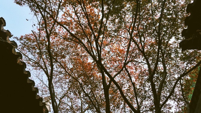 杭州西湖乌镇苏州南京上海攻略,天青色等烟雨乌镇旅游