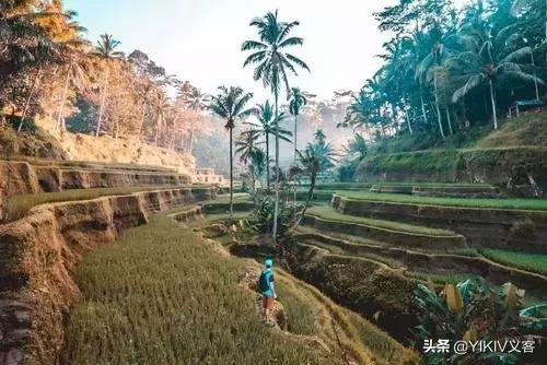 巴厘岛ins网红拍照,巴厘岛网红打卡