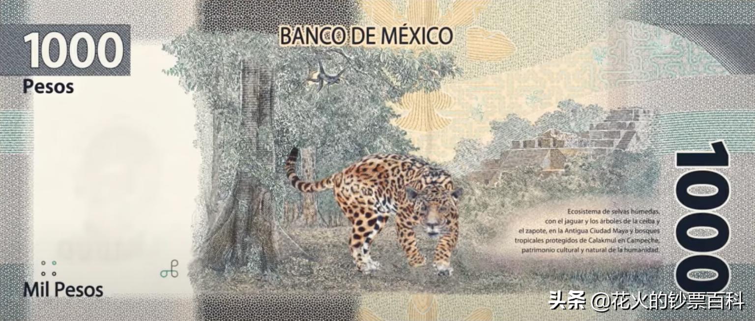 中国发行过的塑料钞有哪些,中国十大塑料钞