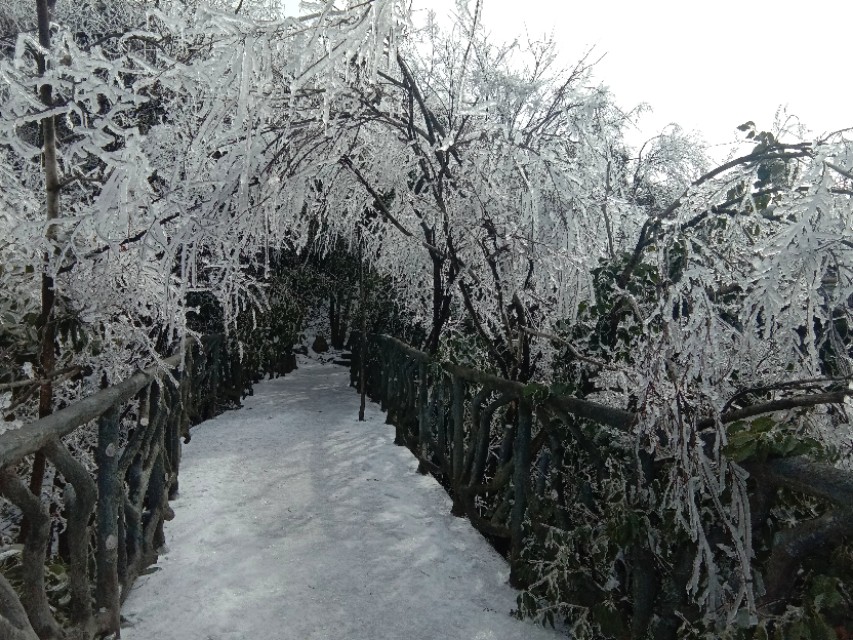 张家界天门山雪景,张家界天门山国家森林公园