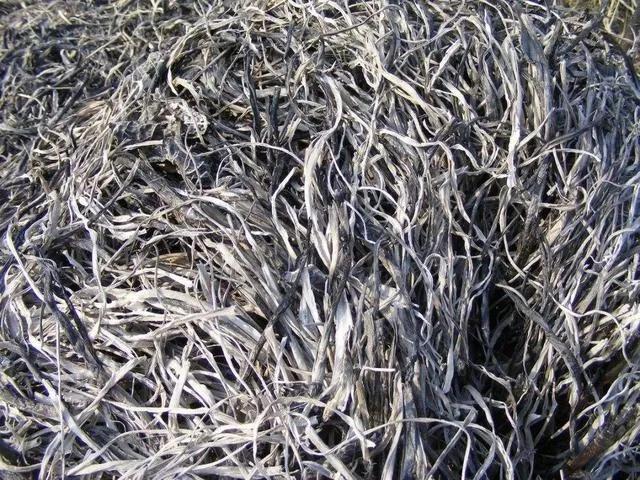 草木灰对猪场有何妙用,草木灰在猪场功效和作用