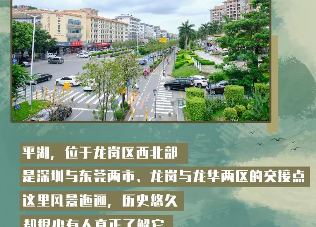 平湖低调小区,平湖品位