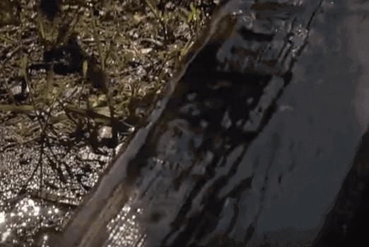 日本杉板制作全过程,烧杉板可以用哪些木材制作