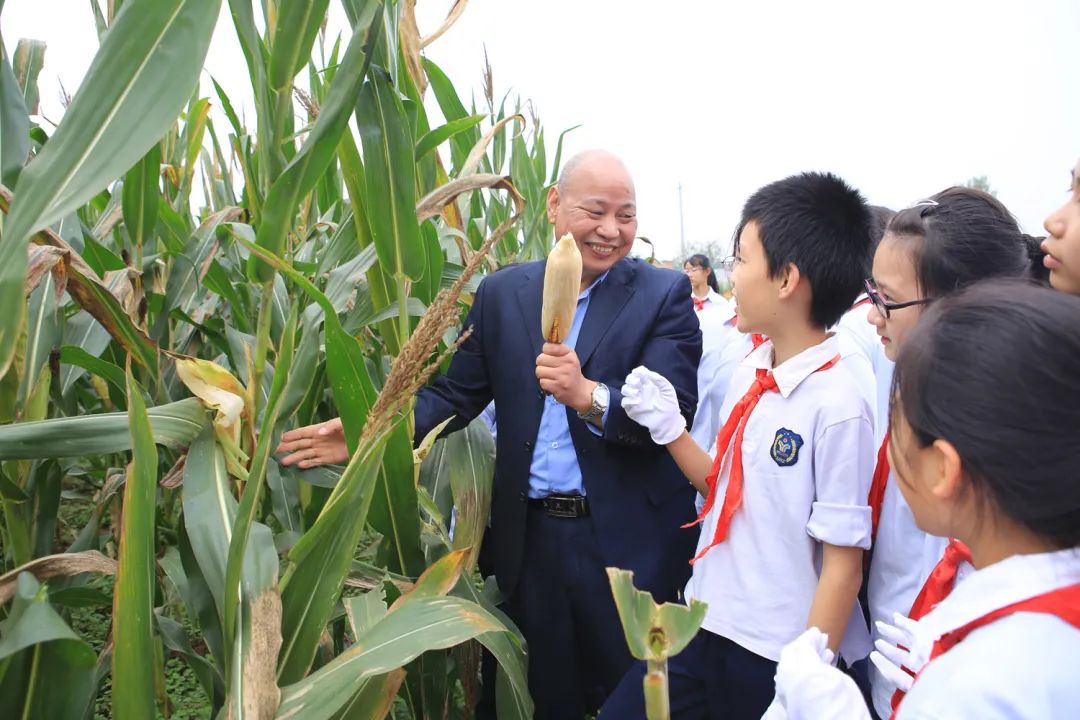 课后服务针对义务教育阶段吗,课后服务对教育教学的改变