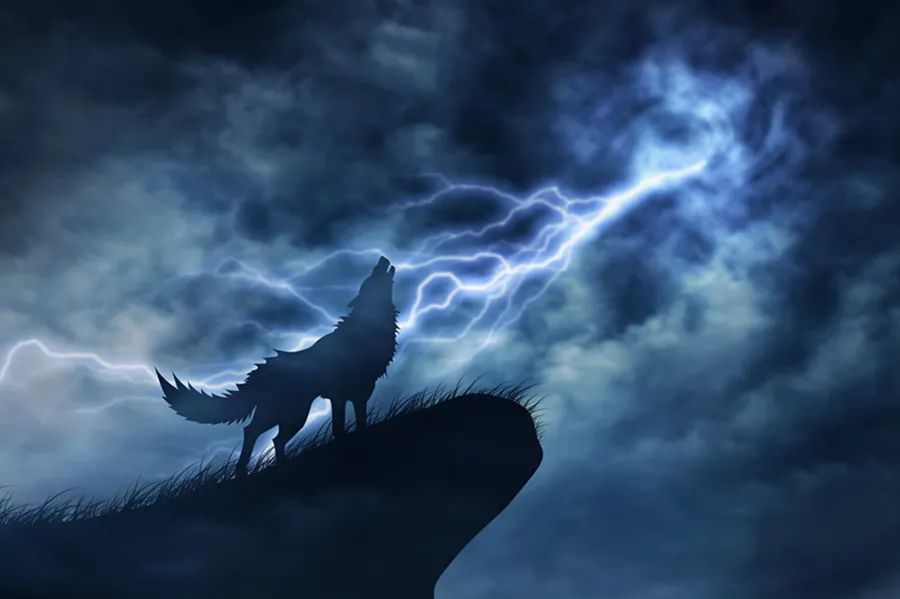 读狼图腾有感的标题,读《狼图腾》有感