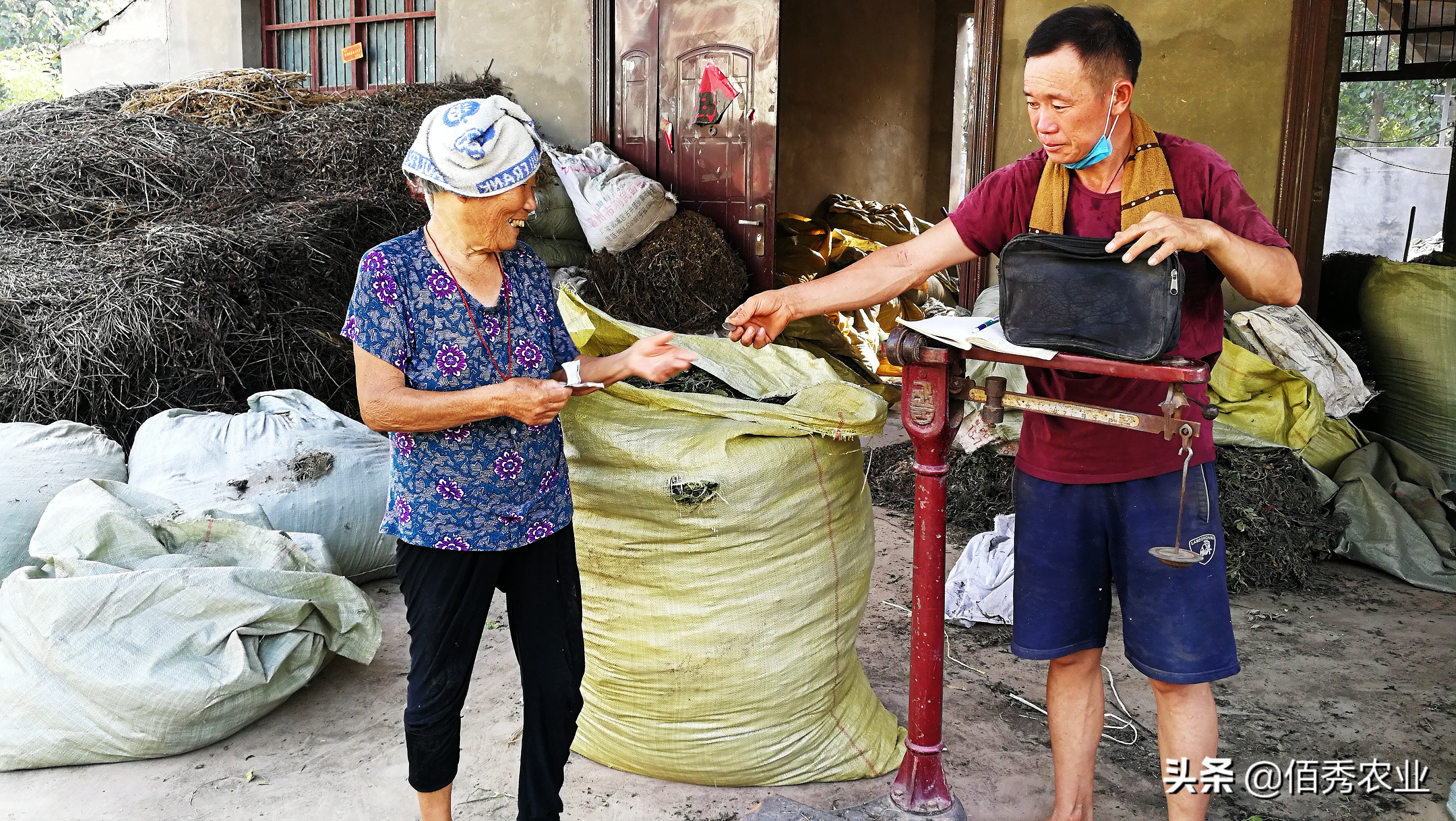 40万在农村能做什么,不想外出打工的农民能干什么