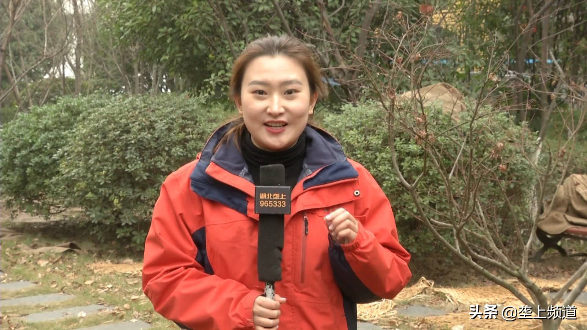 小龙虾如何暂养死亡率低,小龙虾不打洞能养殖