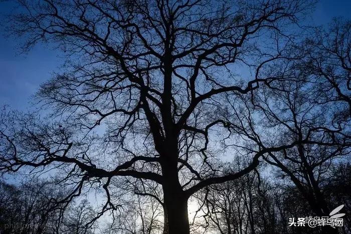 那些惊艳众人的封神镜头,小众广角镜头排行榜