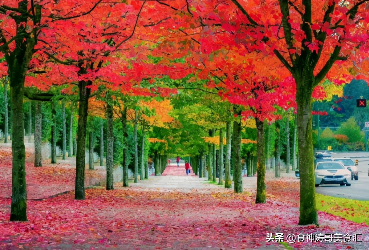 加拿大人每天都吃什么,加拿大人的一日三餐食谱