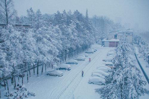 河南十三所高校,河南省13所师范院校排名