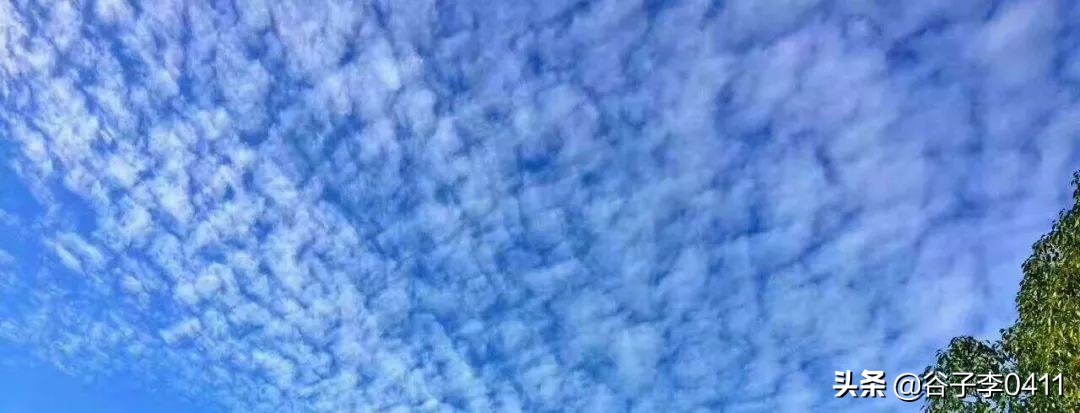 小聂跑法慢动作播放,小聂跑法是怎么跑的