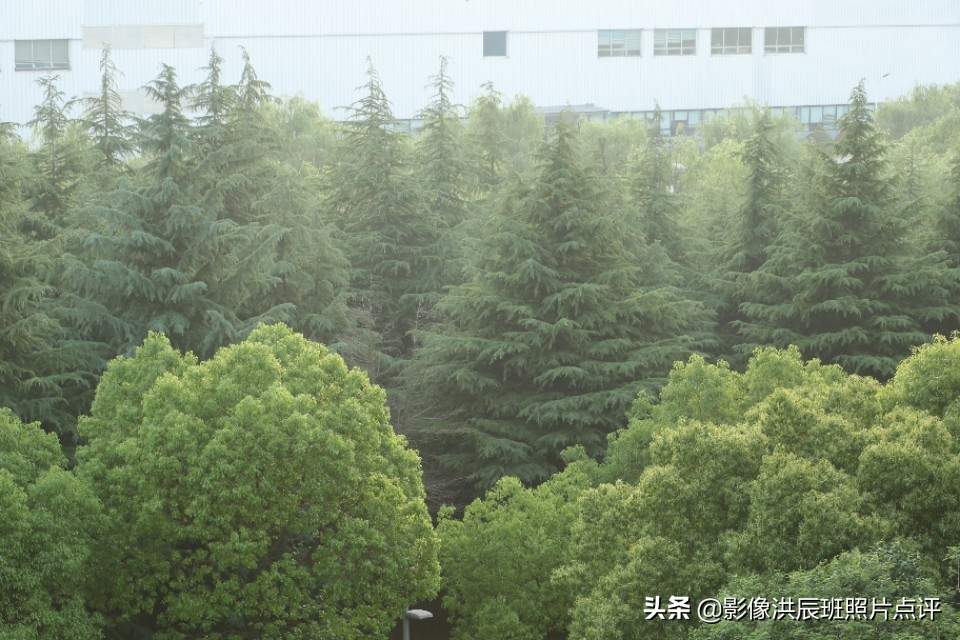 黑色背景怎么拍出质感产品,摄影黑色背景怎么拍得更黑