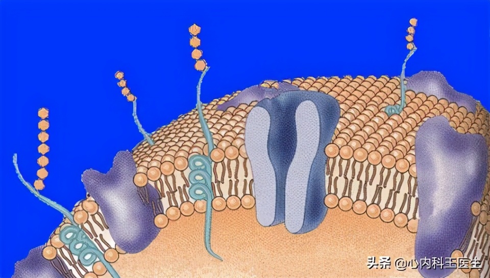 早期冠心病吃复方丹参滴丸可以吗,复方丹参滴丸治疗冠心病