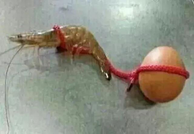 中超张晓晨,张晓晨中超