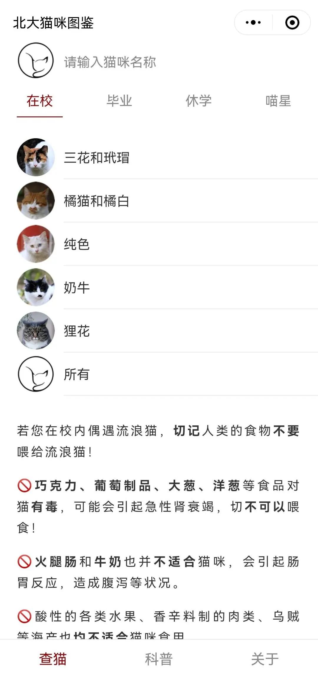 宿舍为什么不可以养猫,该不该在宿舍养猫